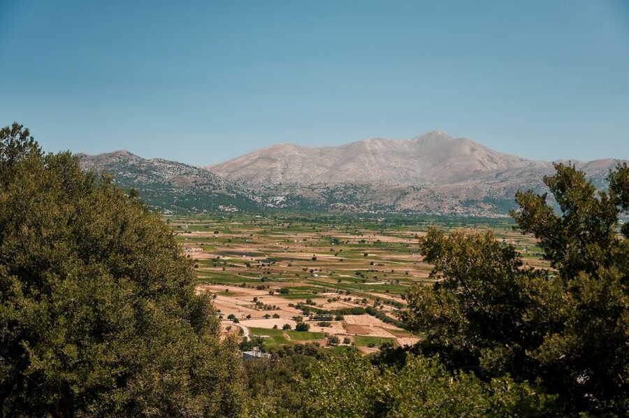 Crete: Knossos Palace and Lassithi Plateau Day Tour - Is the $56 price good value?
