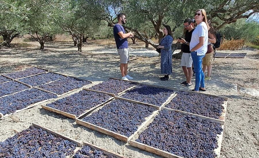 Crete: Knossos Palace, Winery & Olive Oil Tour with Lunch - Who should book this experience?