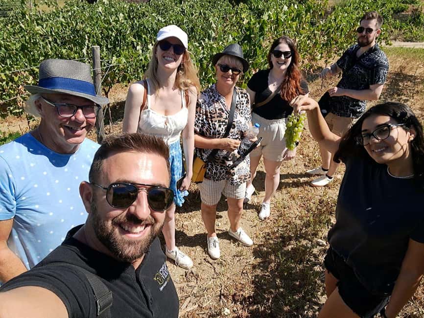 Crete: Knossos Palace, Winery & Olive Oil Tour with Lunch - What to bring and what to arrange ahead