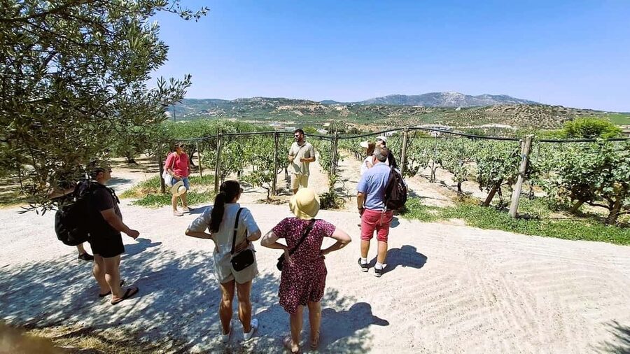 Crete: Knossos Palace, Winery & Olive Oil Tour with Lunch - Knossos Palace: myths, frescoes, and a ticket to budget for