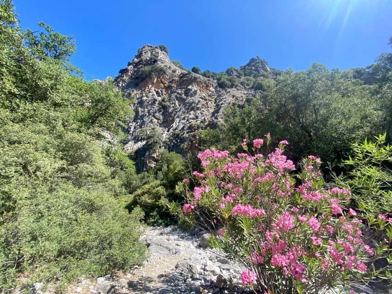 Crete: Kritsa Canyon Guided Hiking Tour - Four hours through the rocks, trees, and old paths