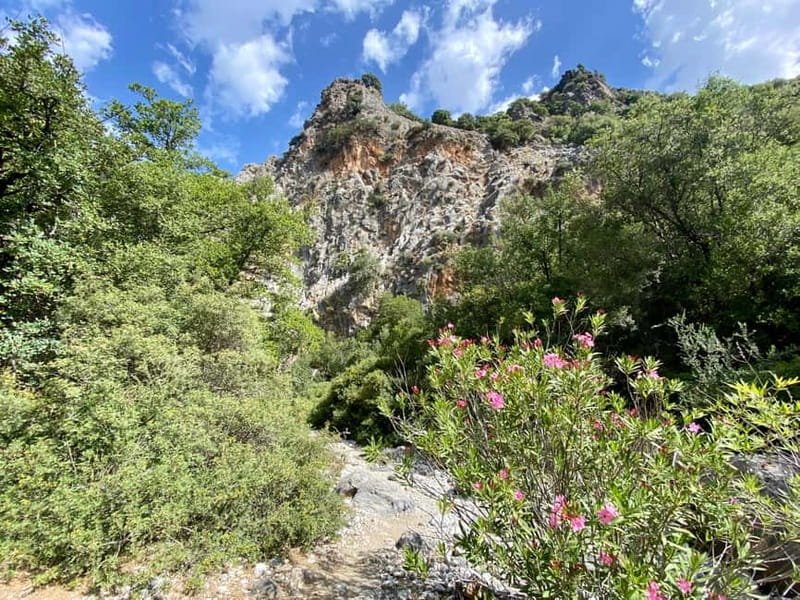 Crete: Kritsa Canyon Guided Hiking Tour - The four-hour format needs a realistic fitness check
