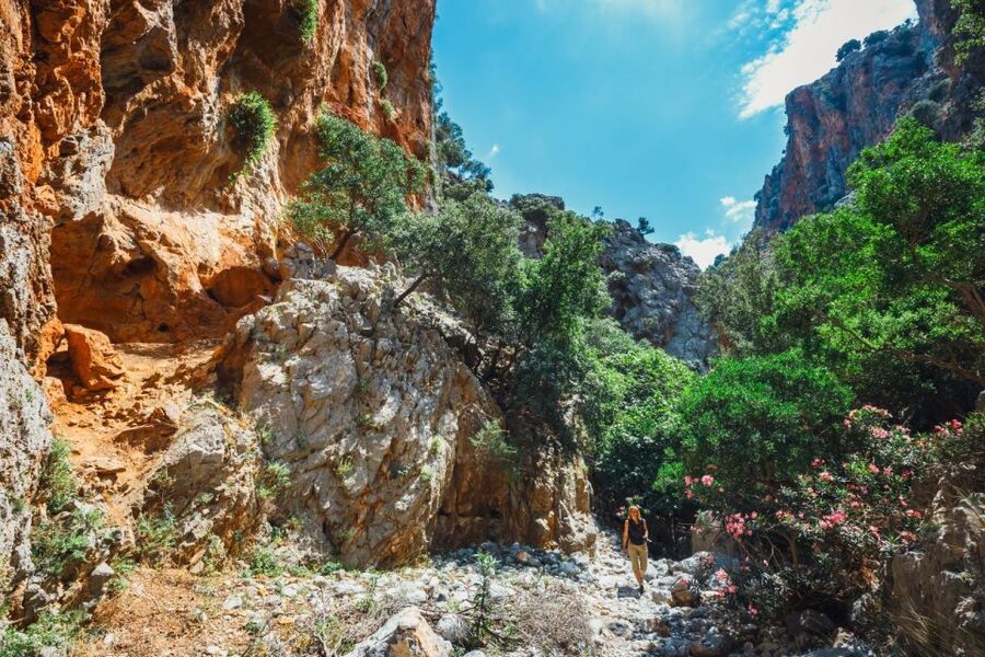 Crete: Kritsa Gorge Hike with Picnic & Swim Stop - Key points to know before booking