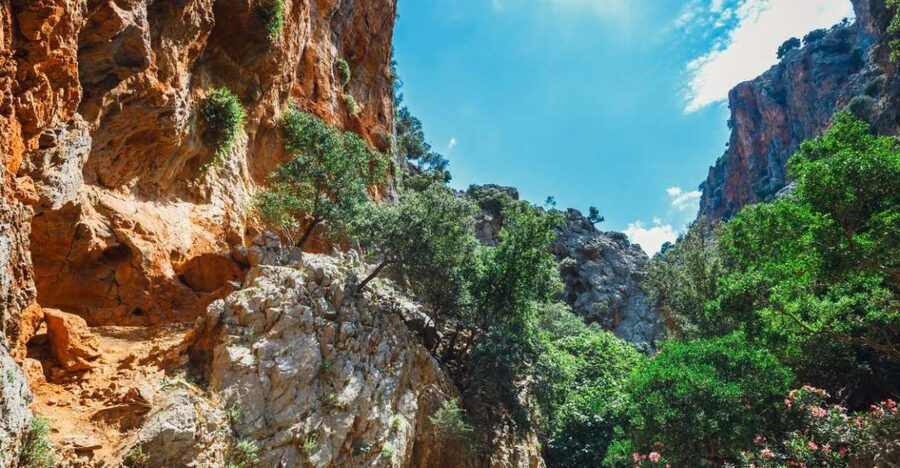 Crete: Kritsa Gorge Hike with Picnic & Swim Stop - The guide makes a real difference