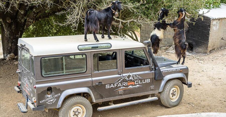 Crete: Land Rover Safari on Minoan Route - Five things to know before you book