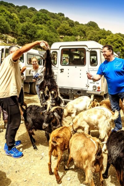 Land Rover Safari on Minoan Route