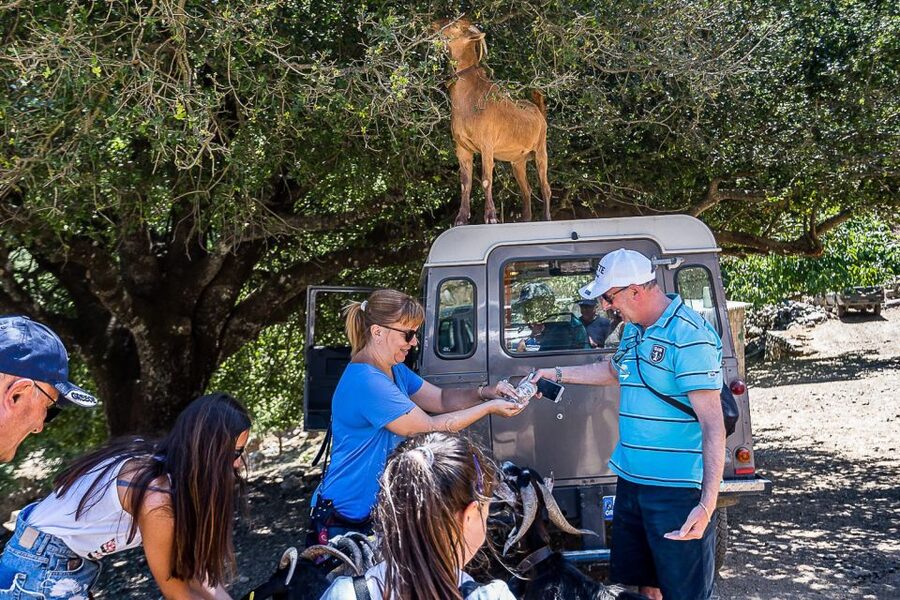 Crete: Land Rover Safari on Minoan Route - A plateau where farming still shapes the day