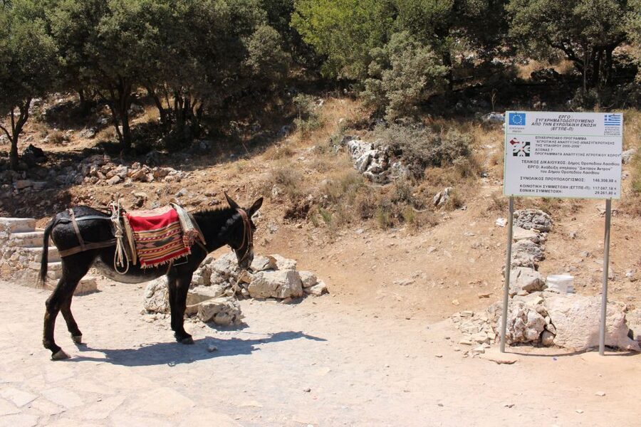 Crete: Land Rover Safari Through the Plateaus - Key points at a glance