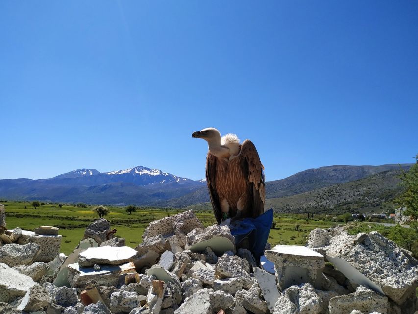 Crete: Lasithi Plateau and Cave of Zeus Off-Road Safari Tour - Seli Ambelou windmills and the climb to Zeus’s Cave