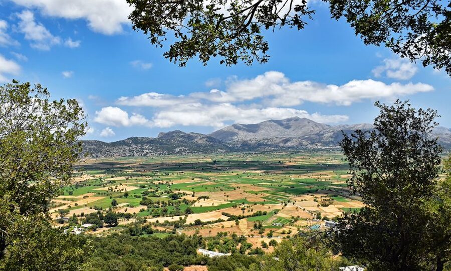 Crete: Lasithi Plateau & Knossos Palace Day Trip - Transport, pickup, and the long day