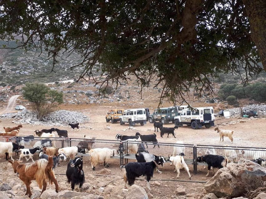 Crete: Lasithi Plateau Zeus Cave Guided Jeep Safari Tour - Climbing toward the Lasithi Plateau