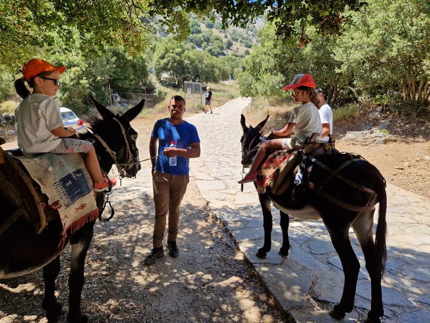 Crete: Lasithi Plateau Zeus Cave Guided Jeep Safari Tour - A long Cretan lunch in a local taverna