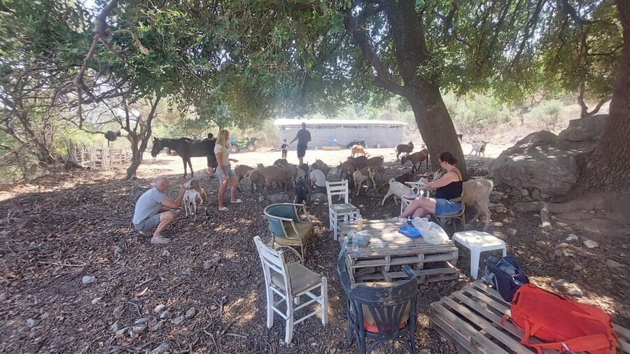 CRETE :MALIA HERSSONISOS QUADS ECOTOUR ADVENTURE - HIGH PERF - Off-road riding at Kivernitis Taverna