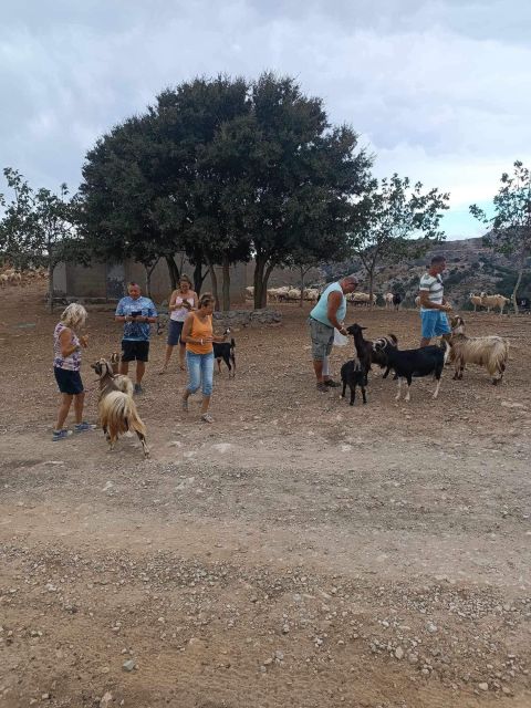 Crete: Milatos Cave Amazonas Zoo Park Jeep Safari Tour - Finishing in Agios Nikolaos