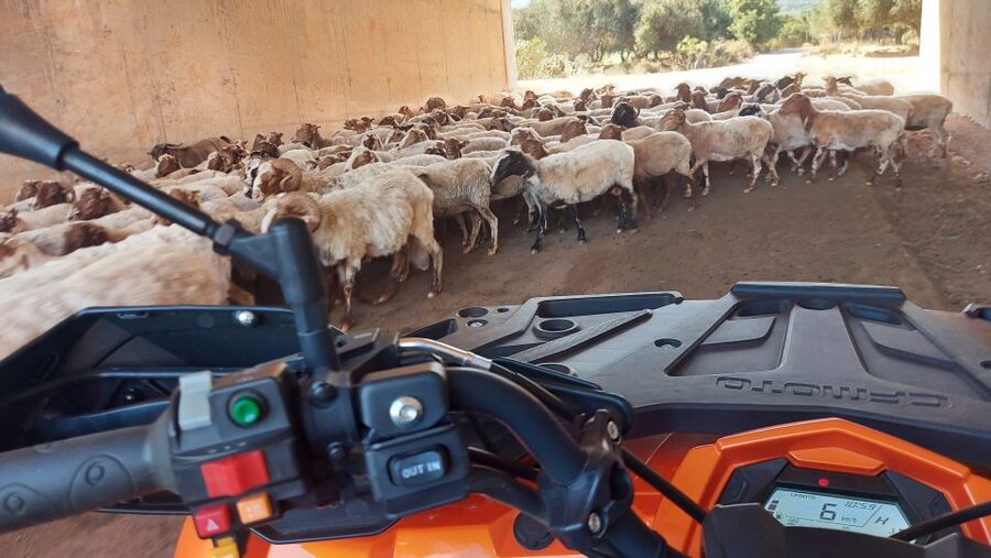Crete: Off-Road Quad Safari with Lunch/Dinner - Exploring Milatos Cave on foot