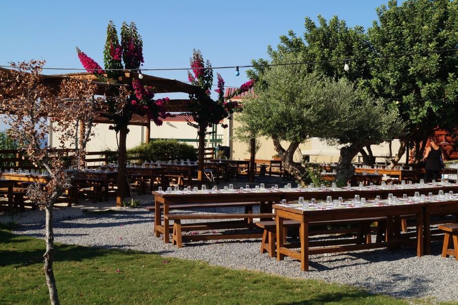 Crete: Olive Oil Factory Tour, Dinner & Traditional Dancing - Who should book this Cretan evening?
