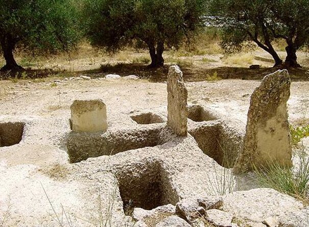 Crete: Olive Oil, Soap, Wine, Raki - Flavorful Culinary Journey - Key points to know before booking