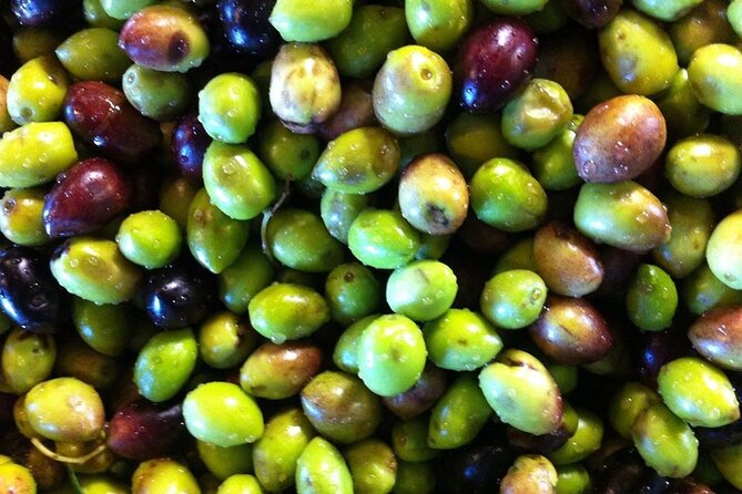 Crete: Olive Oil, Soap, Wine, Raki - Flavorful Culinary Journey - Raki, friendship, and a small family distillery