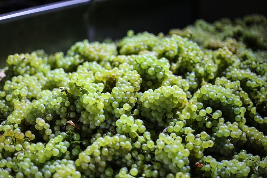 Crete: Olive, Wine, & Raki on a Flavorful Culinary Journey - Key points at a glance