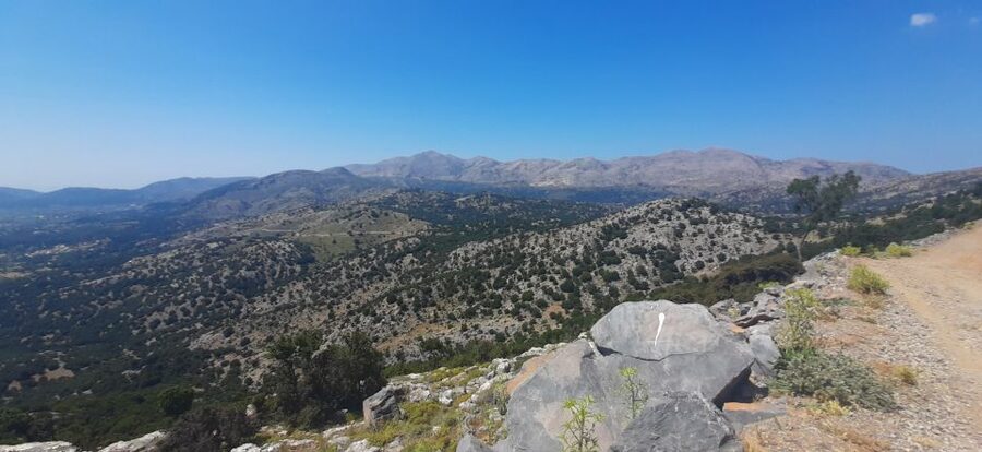 Crete: Olive, Wine, & Raki on a Flavorful Culinary Journey - Should you book the olive, wine, and raki tour?