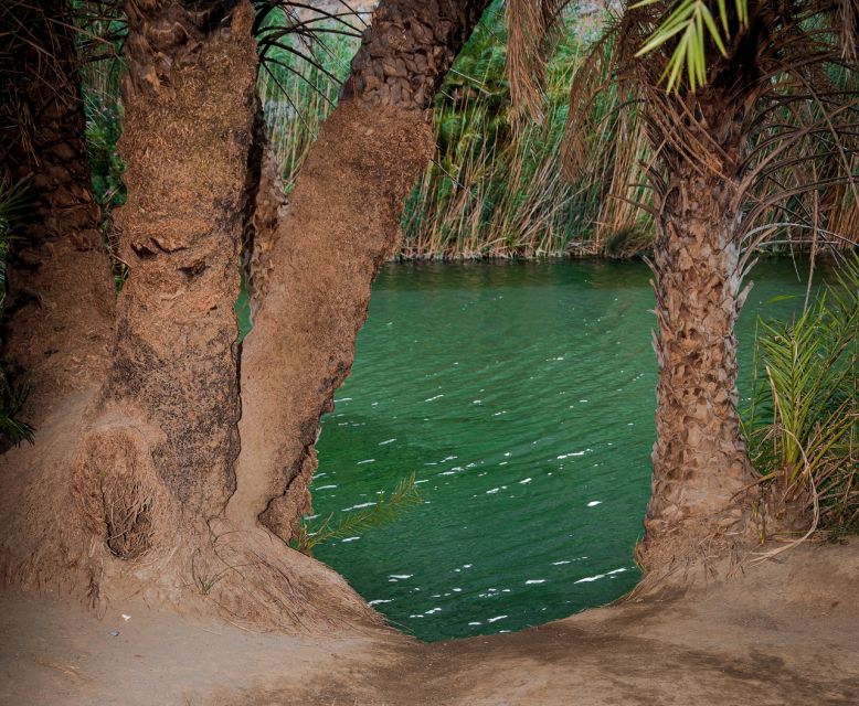 Crete: Preveli Tropical Beach and Palm Forest - Pickup from Heraklion and the northern resorts