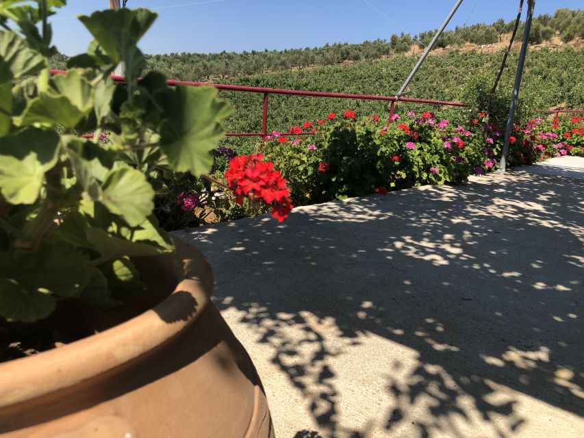 Crete Private Tour: The Secrets of Wine, Olives & Honey - Garazo village and its small folk museum