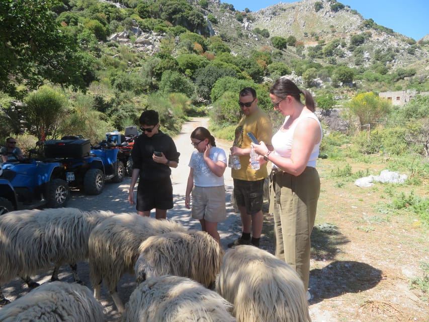 Crete Quad Safari Off-Road,Breathtaking Scenery&Amazing View - Small details that make the day better