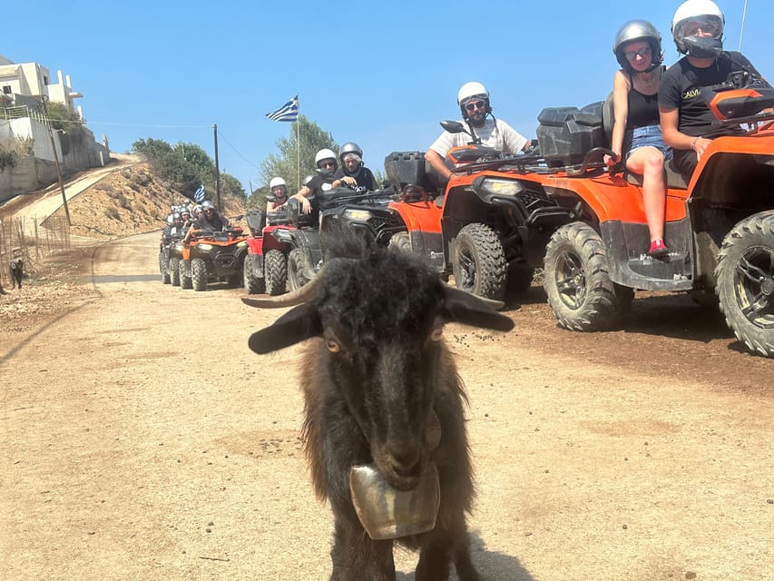 Crete: Quad Safari, Olive Mill with Tasting & Ghost Village - An olive mill and the story behind the bottle