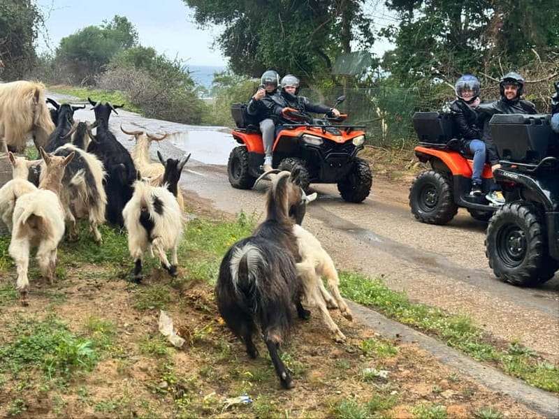 Crete: Quad Safari with Ghost Town Exploration - Riding the rough tracks