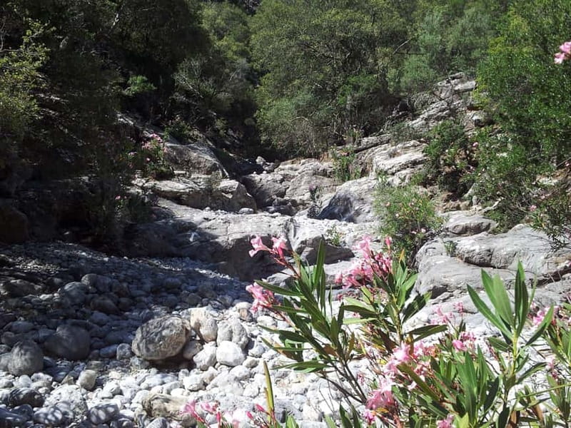 Crete: Richtis Waterfall Full-Day Tour with Olive Tasting - A Cretan lunch with wine and generous portions