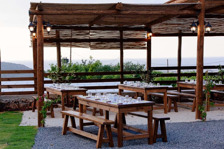 Crete: Road-trip to Lasithi Plateau & Olive Mill Farm - Krasi and its 2,400-year-old plane tree