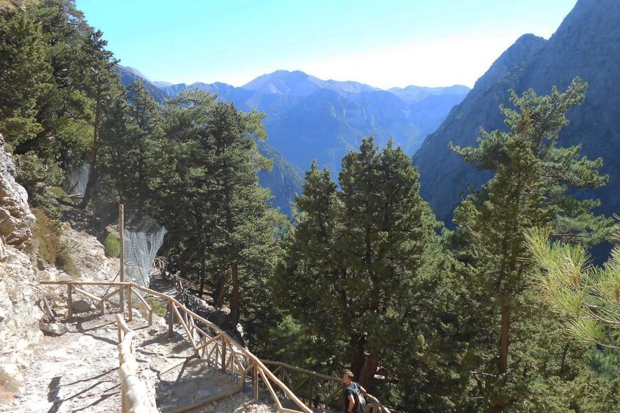Crete: Samaria Gorge Hiking with transfer and expert Escort - Four to six hours inside the gorge