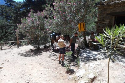 Samaria Gorge Hiking with transfer and expert Escort