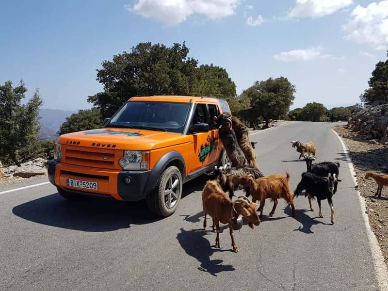Crete: Sarakina Gorge, Forests, and South Coast Safari - Key points at a glance