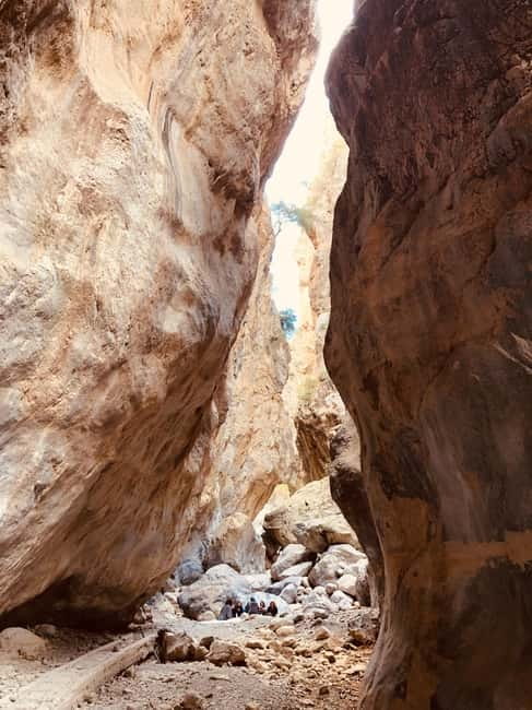 Crete: Sarakina Gorge, Forests, and South Coast Safari - Pine trees and the Kroustas mountain forest