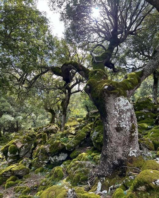 Crete: Sarakina Gorge, Forests, and South Coast Safari - Sarakina Gorge: a short route with real physical work