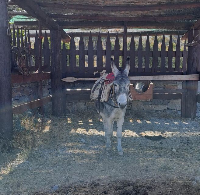 Crete: Shepherd’s Life & Psiloritis Mountain Tour with Meal - The timing, pace, and practical tradeoffs