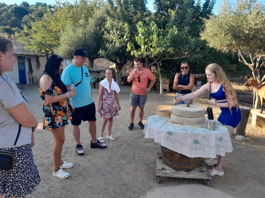 Crete: Sunset Safari - Dinner in Malia with wine and water included