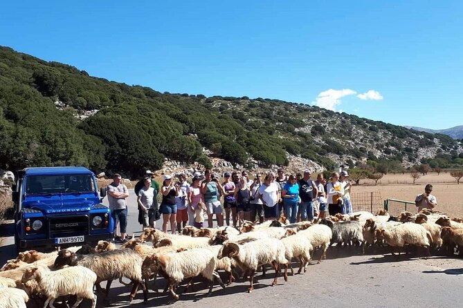 Crete: Tripitis Gorge South Crete Guided Jeep Safari - From Patsides to the mountains
