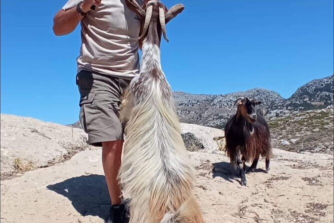 Crete: Tripitis Gorge South Crete Guided Jeep Safari - Saint George Epanosifi and the final return