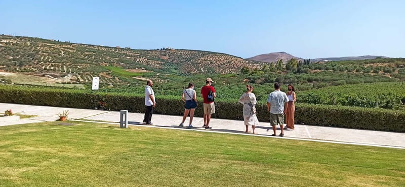 Discover Taste of Crete: Guided Winery Tour and Tastings - What you taste and how the experience is taught