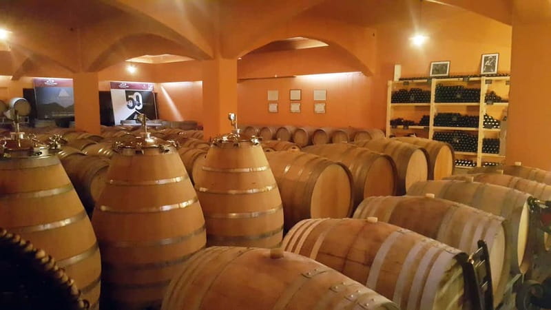 Discover Taste of Crete: Guided Winery Tour and Tastings - Practical details that make the day easier