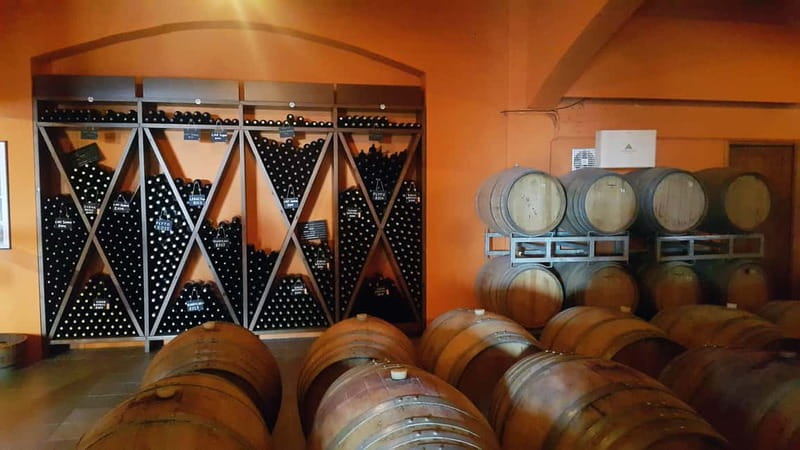 Discover Taste of Crete: Guided Winery Tour and Tastings - Should you book the Cretan winery tour?