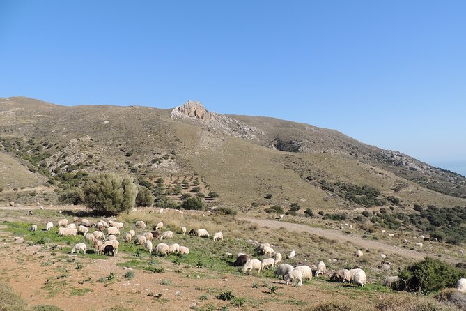 Discover The Secrets Of The Southern Crete Jeep Safari tour - Keratokampos beach and the best part of the afternoon