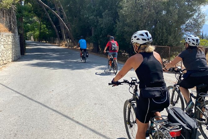 E-Bike Tour with Wine Tasting in Dafnes, Heraklion - Key points to know before booking