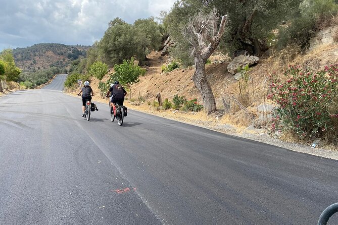 E-Bike Tour with Wine Tasting in Dafnes, Heraklion - The taxi return makes the timing work