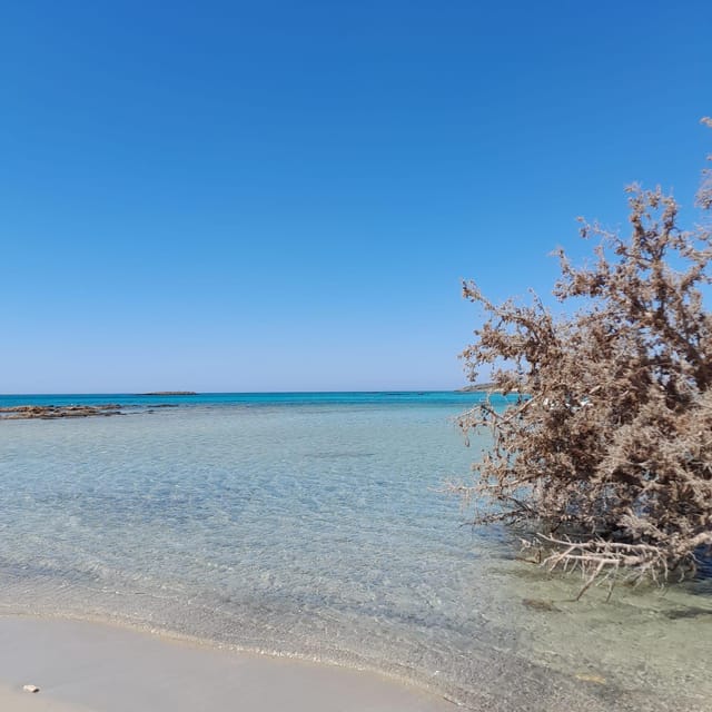 Elafonissi: Private Beach Day Trip with SUP - What the $70 price really buys you