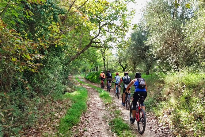 Eleftherna E-Bike and MTB Tour - Experience The Authentic Crete - Key points to know before you book
