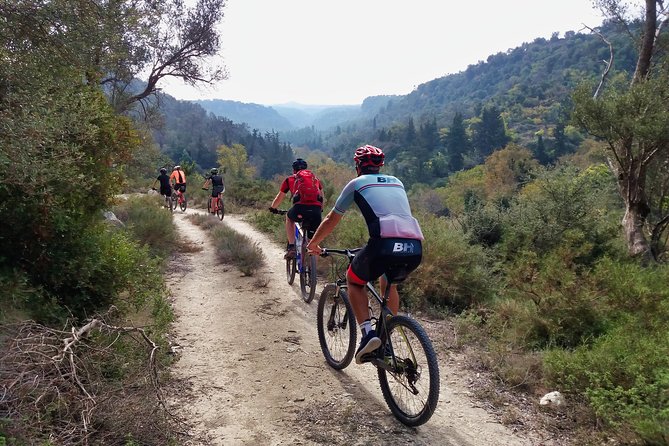 Eleftherna E-Bike and MTB Tour - Experience The Authentic Crete - Forested gorges near Eleftherna and Margarites