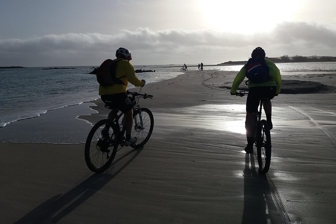 Eleftherna E-Bike and MTB Tour - Experience The Authentic Crete - Timing, weather, and cancellation rules